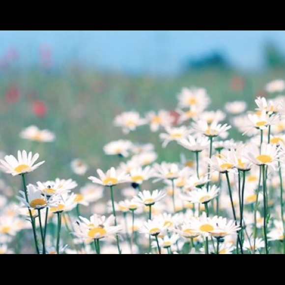 ✨ Hello!! Welcome to our closet! - Picture 2 of 8